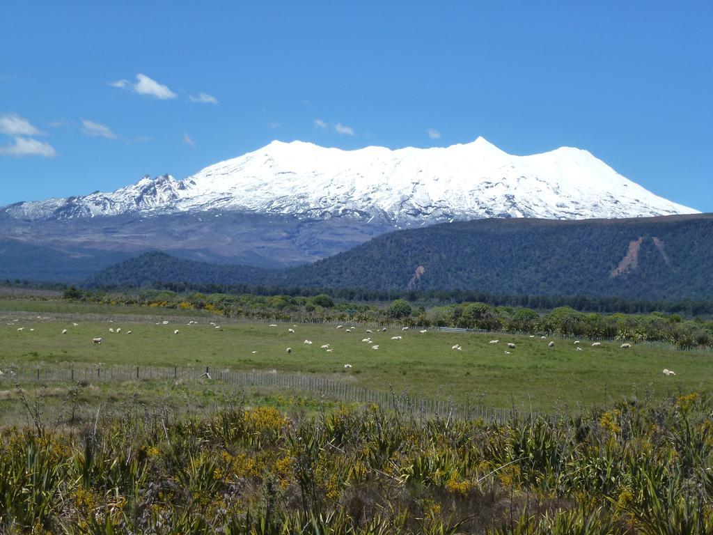 Manowhenua Lodge 国家公园 外观 照片